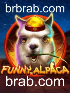 Descubra o Mundo Animado de FunnyAlpaca
